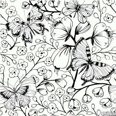 Butterfly Coloring Pages: 25 Free Printable Sheets - Parade: Entertainment,  Recipes, Health, Life, Holidays