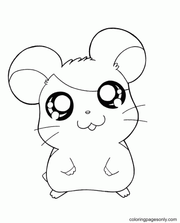 Hamster Coloring Pages - Coloring Pages For Kids And Adults