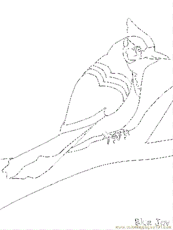 Bluejay Coloring Page for Kids - Free Blue Jay Printable Coloring Pages  Online for Kids - ColoringPages101.com | Coloring Pages for Kids