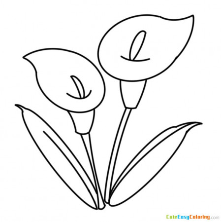 Simple Calla Lily Coloring Page Free Printable for Kids