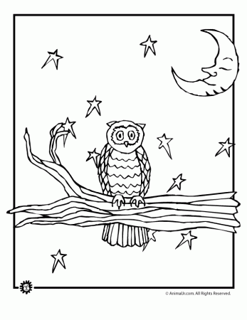 Owl Coloring Pages - Woo! Jr. Kids Activities