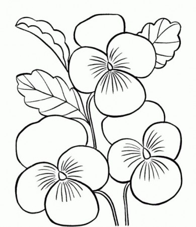 flower Page Printable Coloring Sheets | Flower Coloring Pages For ...