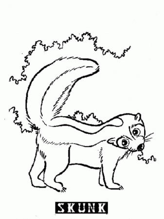 S is for Skunk Coloring Page | Color Luna