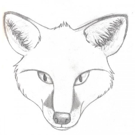 Fox Head Sketch at PaintingValley.com | Explore collection of Fox ...