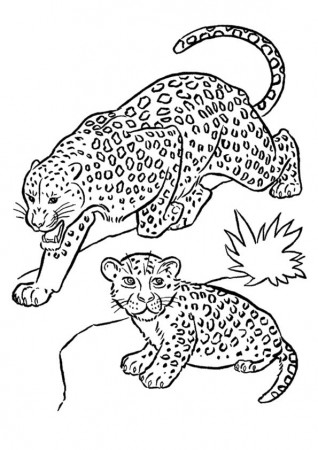 Free & Printable Desenho Felinos Coloring Picture, Assignment Sheets  Pictures for Child | Parentune.com