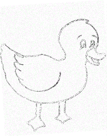 Free Mallard Duck Coloring Pages, Download Free Mallard Duck Coloring Pages  png images, Free ClipArts on Clipart Library