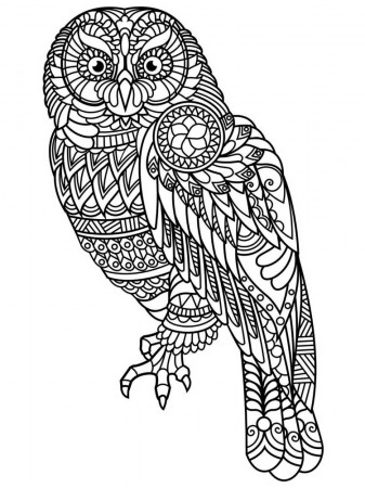 Free Owl coloring pages for Adults. Printable to Download Owl coloring pages .