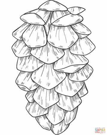 Pine Cone coloring page | Free Printable Coloring Pages