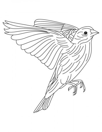 American Goldfinch coloring page | Download Free American Goldfinch  coloring page for kids | Best Coloring Pages