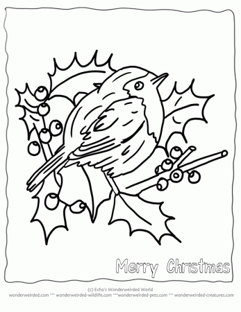 Birds Coloring Pages Christmas - Coloring Pages For All Ages