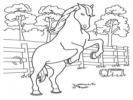 Free Baby Horse Coloring Pages - Coloring Page
