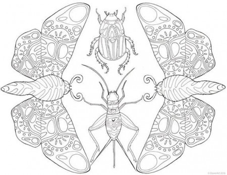 Printable Adult Coloring Page Mandala Insects Moths Beetles | Etsy