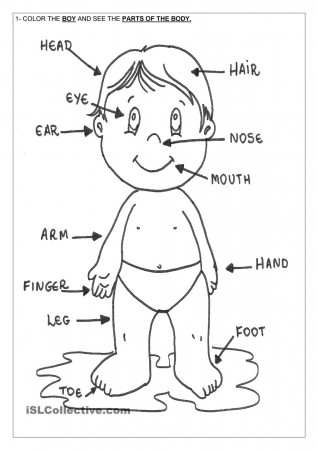 Preschool body parts coloring page