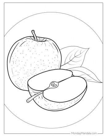 20 Apple Coloring Pages (Free PDF ...