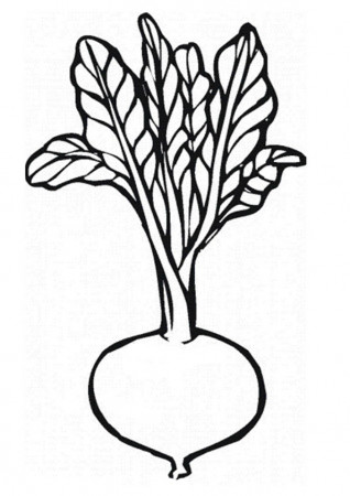 Coloring Pages | Printable Beetroot Coloring Pictures