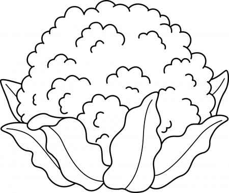 Cauliflower Vegetable Isolated Coloring Page 11487068 Vector Art at Vecteezy