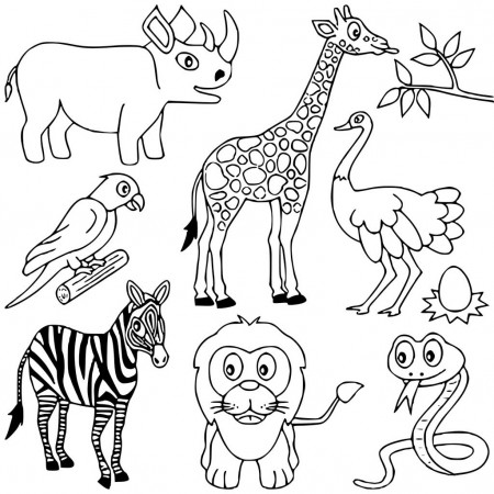 African Animals Coloring Pages - GetColoringPages.com