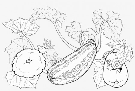 Drawing Zucchini Pattypan Squash Coloring Book Vegetable - Zucchini -  1280x720 PNG Download - PNGkit