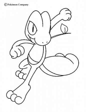 Treecko Pokemon coloring page. More Grass pokemon coloring sheets on  hellokids.com | Pokemon, Tatuaggio pokemon, Arte pokemon