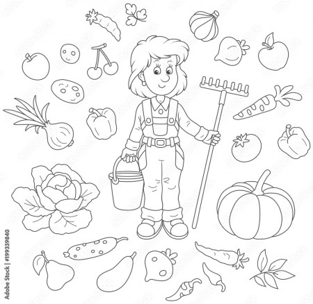 Smiling girl gardener holding a rake and a bucket and surrounded by  vegetables and fruit, a black and white vector illustration in cartoon  style for a coloring book Stock Vector | Adobe