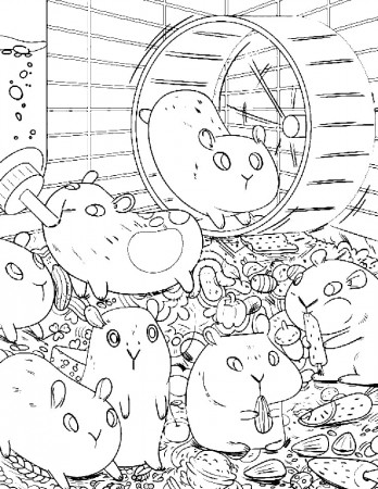 Hamster coloring pages - Print for free | WONDER DAY — Coloring pages for  children and adults