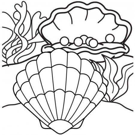 Pin on Oyster Coloring Pages