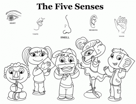 5 Senses Coloring Page