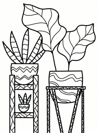 Houseplants Coloring Book – Dylanna Press