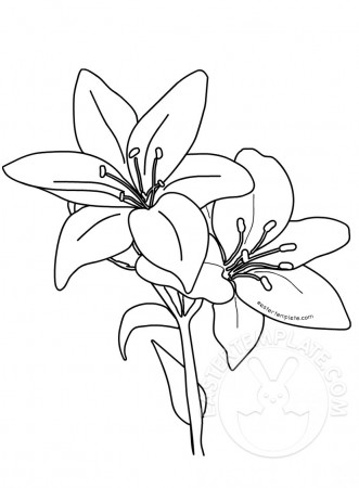 Printable Easter lilies template - Easter Template