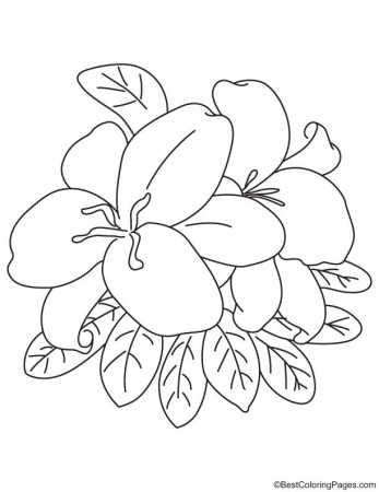 Easter lily coloring page | Download Free Easter lily coloring page for  kids | Best Coloring Pages