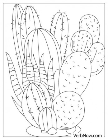 Free CACTUS Coloring Pages & Book for Download (Printable PDF) - VerbNow