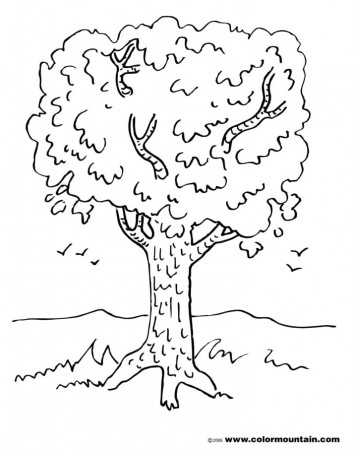 Top 28 Magnificent Fall Tree Coloring Pages My Cup Overflows For ...