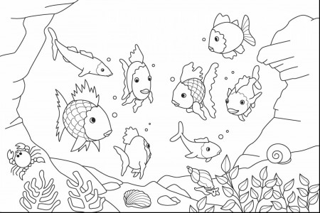 Ocean Animals Coloring Pages Inspirational Realistic Sea Life ...