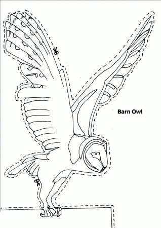 seasonal colouring pages barn pictures to color. barn owl coloring ...