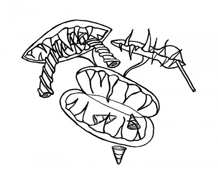 Creepy Halloween Faces and Candy-Loving Venus Fly Traps: Free Digital  Stamps – wonderstrange arts
