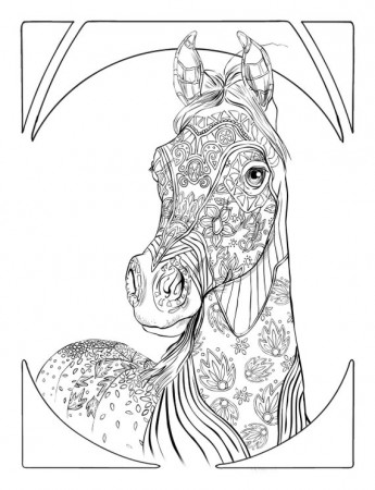 Printable Coloring Pages Adult Animal Coloring Book Digital | Etsy