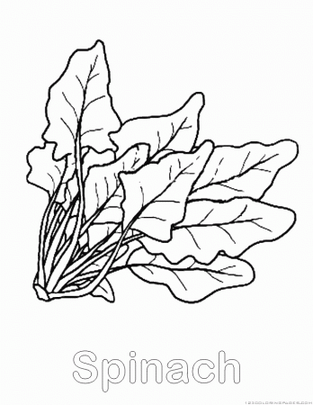 Spinach Coloring Pages