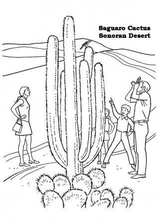 Free & Printable Saguaro Cactus Coloring Picture, Assignment Sheets  Pictures for Child | Parentune.com
