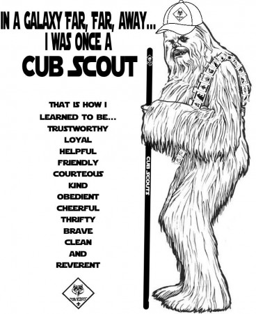 Akela's Council Cub Scout Leader Training: Chewbacca Was Once a ...