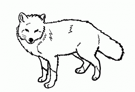 Fox Coloring Pages To Print Fox Coloring Pages Swiper The Fox ...