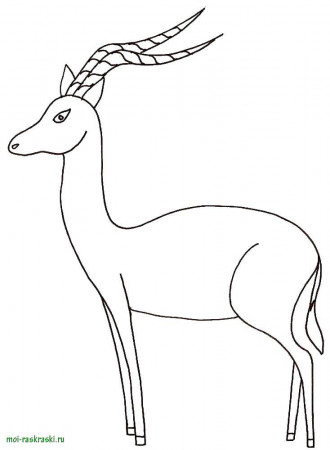 Online coloring pages Coloring page Gazelle wild animals, Coloring pages  for kids.