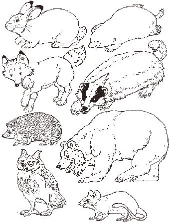 Put the Animals in the Mitten - The Mitten Coloring Page