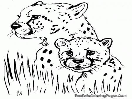6 Pics of Baby Cheetah Coloring Pages Printable - Cute Baby ...