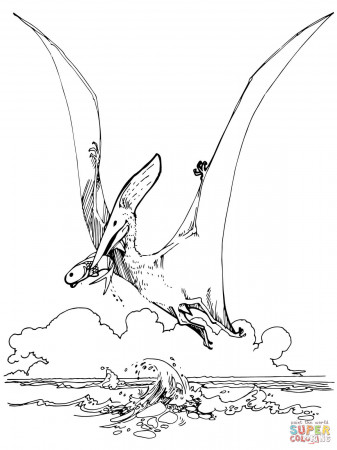 Pteranodon Pterosaur coloring page | Free Printable Coloring Pages