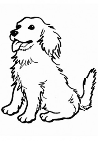 Coloring Pages | Golden Retriever Puppy Coloring Pages