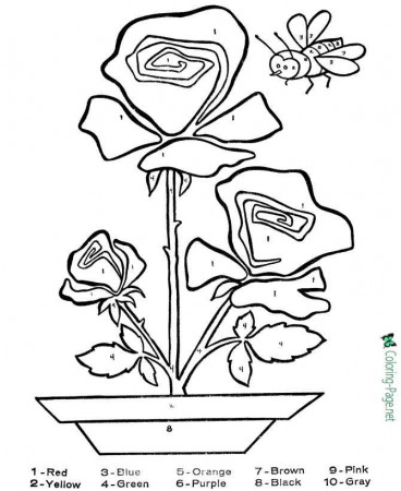 Color by Number Flower Coloring Pages