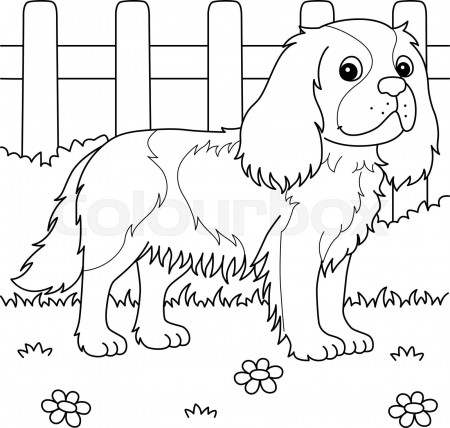 Cavalier King Charles Spaniel Dog Coloring | Stock vector | Colourbox