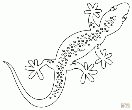 Gecko coloring page | Free Printable Coloring Pages