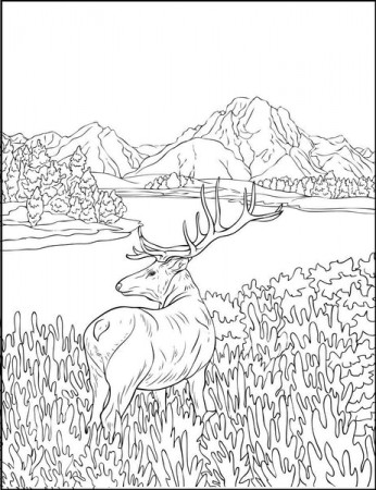 Great Outdoors Landscapes, PDF Coloring Book: Wild Nature, Grand Canyo –  Rachel Mintz Coloring Books