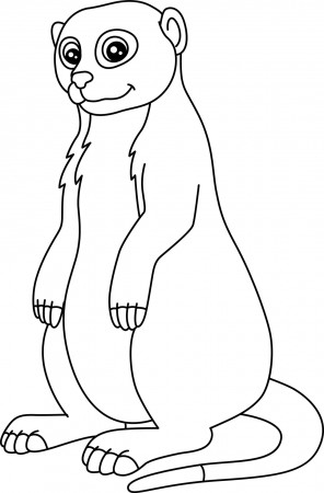 Meerkat Coloring Page Isolated for Kids 5162542 Vector Art at Vecteezy